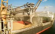 Україна скоротила експорт агропродукції на понад 23% - УКАБ