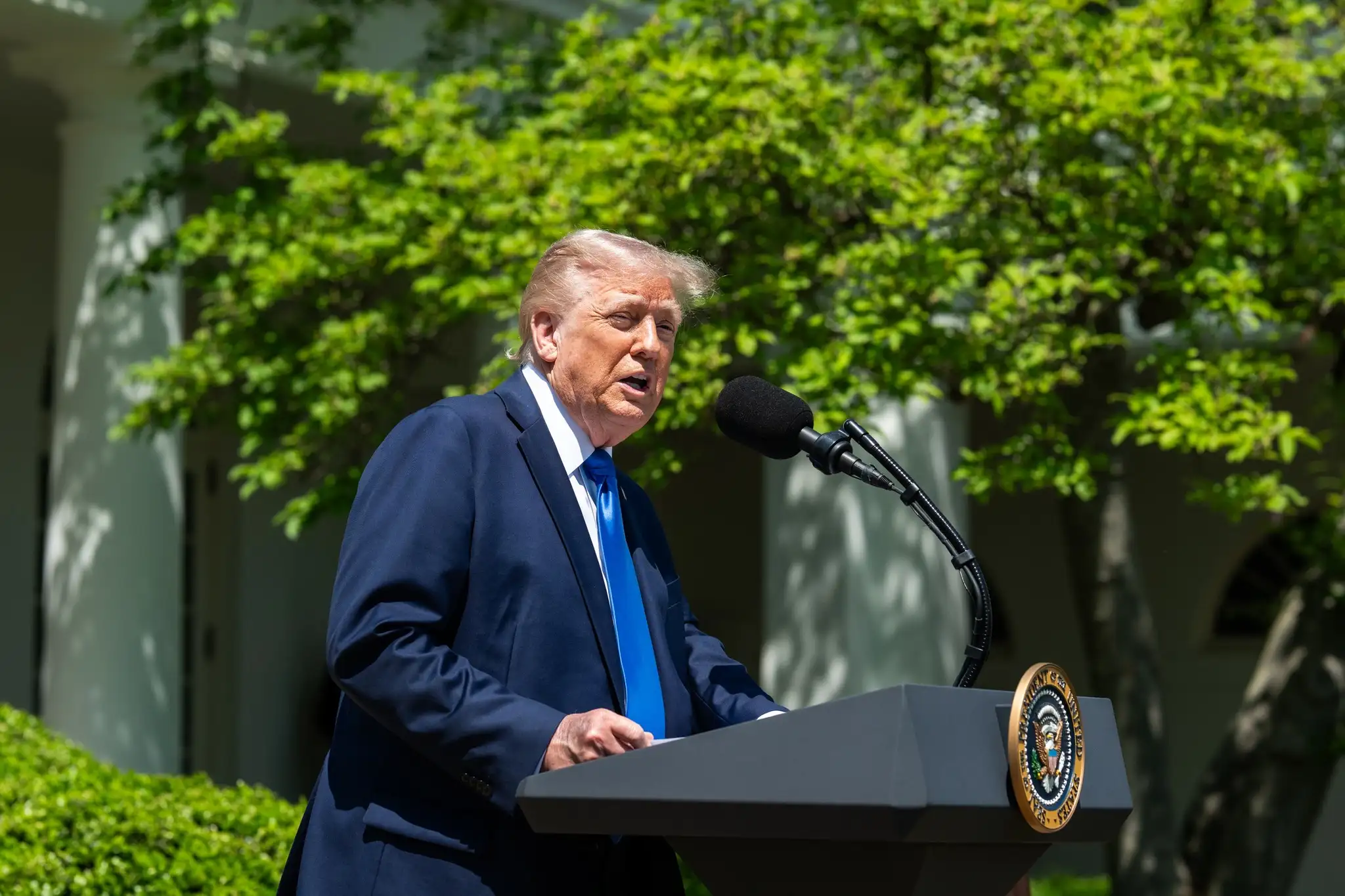 Trump chose a day to celebrate victory in World War II