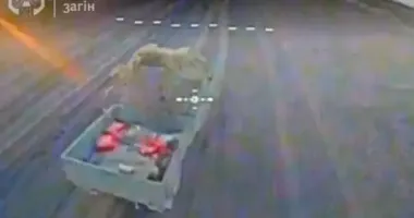 Прикордонники показали, як знищили техніку та особовий склад окупантів на Харківщині
