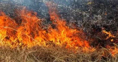 На Черкащині через пожежі сухостою постраждали дві людини