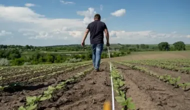 Украинцы могут претендовать на земельный пай: кому дадут бесплатно