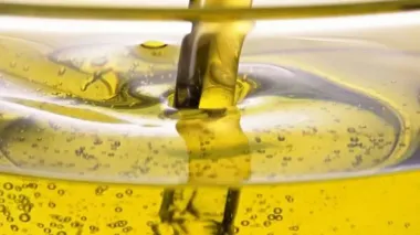 Ukroliyaprom to request Ukrainian govt support for supplying oil extraction plants with raw materials