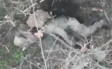 Occupier who survived drone drops shot himself with assault rifle in Pokrovsk direction. VIDEO