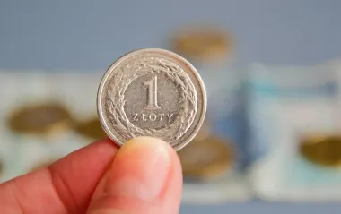 Злотый упал к гривне после максимума