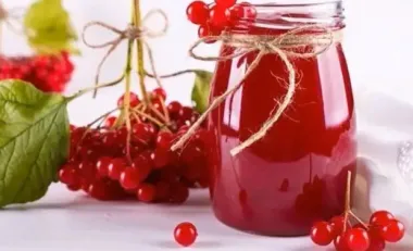 Калина з медом врятує вас у квітні: секрет весняного імунітету з бабусиної комори