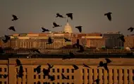 То советника Хегсета подозревают в сливе информации - СМИ