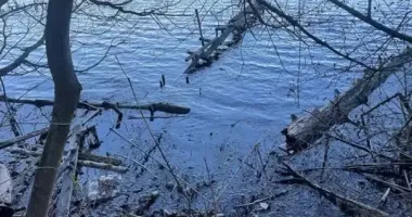 В Тернополе в пруду нашли тело женщины, которую искали с начала марта