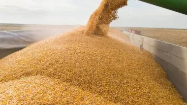 Nearly 73 mln tonnes of grain exported via Ukrainian maritime route – Kuleba