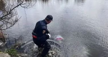 В Киеве спасатели вытащили из озера тело женщины