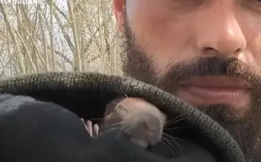 Soldier found squirrel in grass and nursed it back to health: "This is kind of weasel we have". VIDEO