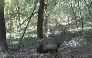 ССО уничтожили на Курщине "актеров" фейкового видео