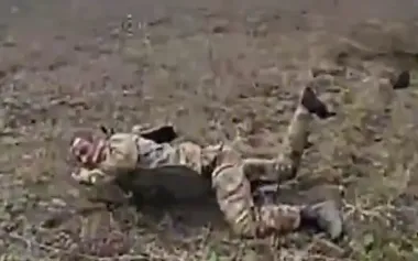 Drone operators of 107th TDF Brigade eliminate Russian infantry. VIDEO