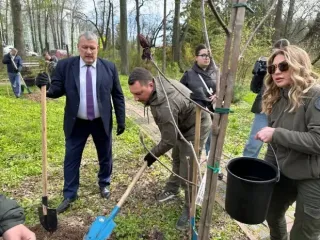 День окружающей среды в Украине: дубы, экологические преступления и надежда на зеленое будущее