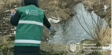 Сміття, знищені ліси та браконьєри: Держекоінспекція порахувала збитки — мільйони гривень за тиждень