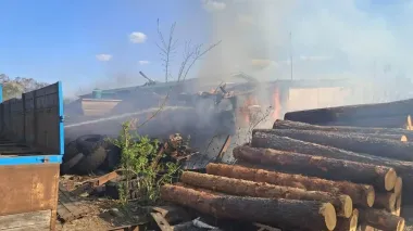 Russians attack logging company in Chernihiv Oblast