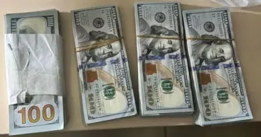 Житель Закарпатья пытался нелегально завезти в Украину "чужие" $40 тысяч