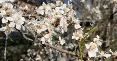 В Укргідрометцентрі розповіли, якою буде погода цього тижня