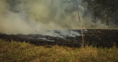 На Харківщині ліквідували масштабну лісову пожежу