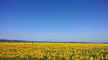 Ukrainian govt proposes harmonizing agricultural support mechanisms with EU standards