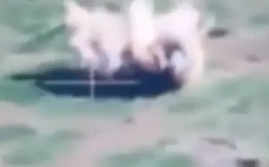 Russian motorized assault trooper is blown into air after hitting mine. VIDEO