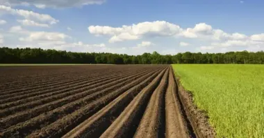 На Сумщині підприємець незаконно привласнив 50 га землі та продав її