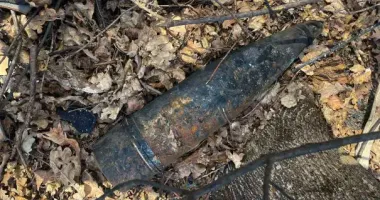На Сумщині піротехніки знищили пʼять знайдених боєприпасів