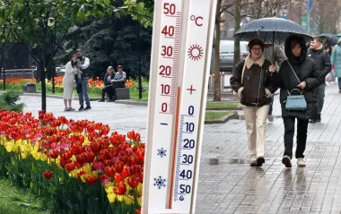 Тепло или внезапное похолодание? Прогноз погоды в Украине на 24 апреля