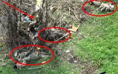 Occupier is trying to hide from drone behind tree with bodies of five of his accomplices lying around it. VIDEO
