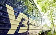Укрзалізниця запускає додатковий поїзд між Києвом і Ужгородом