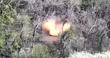 Бойцы "Феникса" показали, как уничтожают технику и личный состав оккупантов на Донетчине