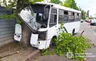У Полтаві автобус врізався в дерево: серед постраждалих - дитина