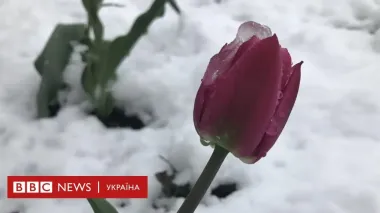 В Сумах и Харькове — снегопад: какая погода ожидается на майские праздники