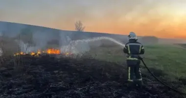 В Житомире во время пожара сухостоя погиб мужчина