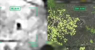 На Сумщині українські оператори БПЛА скидами відбили від росіян трьох полонених побратимів