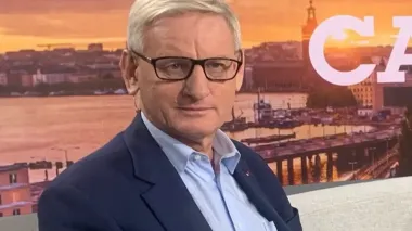 Bildt believes Lavrov's statements leave virtually no chance for ceasefire with Ukraine