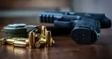 В Нацполиции рассказали, сколько оружия задекларировали украинцы