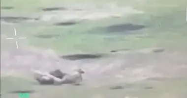 Українські прикордонники відбили спробу ворожого штурму на Харківщині