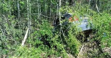 На Житомирщині нетверезий водій влетів у дерево: четверо травмованих