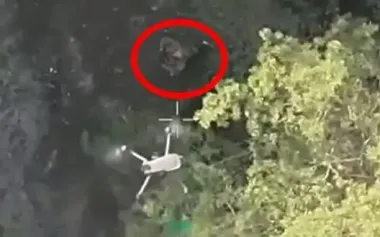 Occupier raises his hands up and surrenders to Ukrainian drone. VIDEO