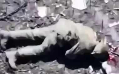 Ukrainian paratrooper eliminates Russian assault trooper with burst from his assault rifle in Pokrovsk direction. VIDEO