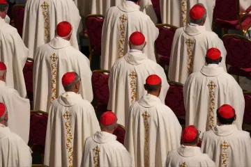One of these cardinals could become the new pope