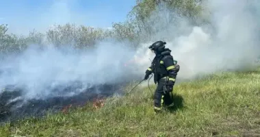 Через російські обстріли на Донеччині спалахнули масштабні пожежі