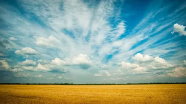 Over 80% of wheat, barley, oats and peas sown in Sumy region – Minister of Agrarian Policy