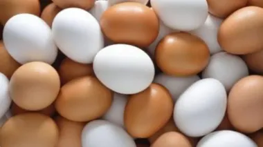 Canada opens its market for shell eggs from Ukraine