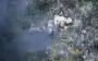 Soldiers of 66th SMB repel enemy in Lyman direction: "Number of Russians is extremely high. Every day we record up to 250 occupiers". VIDEO