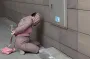 "Я закохалася". Нападниця на Стерненка виступила з заявою у суді