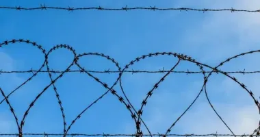 На Житомирщине мужчину осудили за изнасилование соседской 10-летней девочки