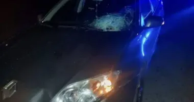 Смертельна ДТП на Київщині: 51-річного чоловіка збили на смерть