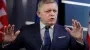 They were going to the parade to Putin. Fico and Vucic suddenly fell ill