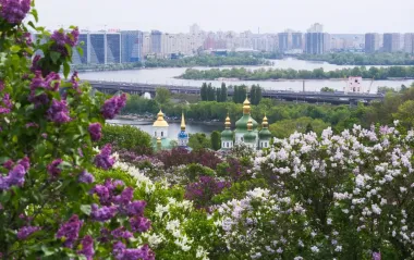 Ботсад ім. Гришка під загрозою? Керівництво відповіло, чи дійсно зелену зону забудують